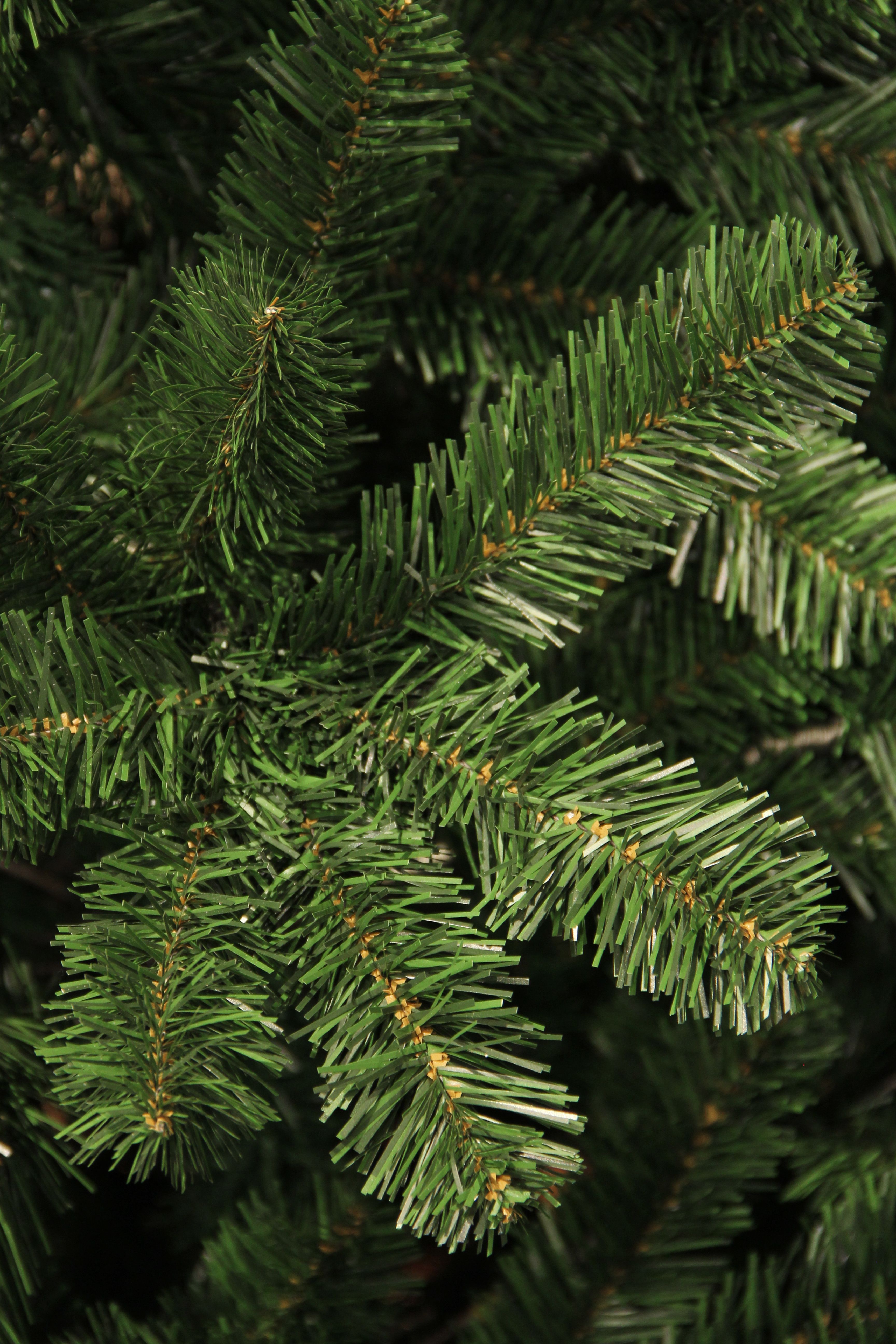 Black Box Trees - Christmas Tree