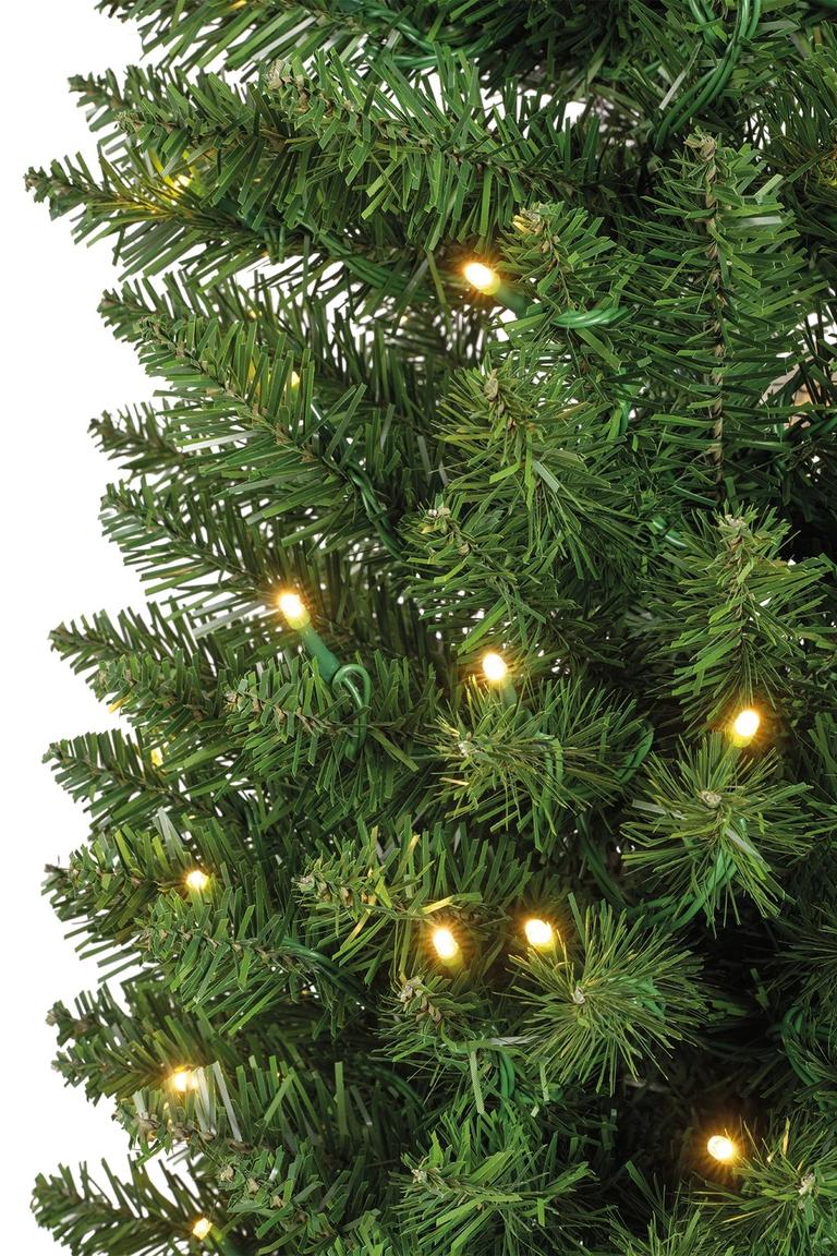 Trees With Lights