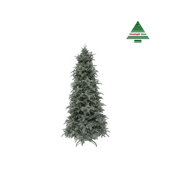 Triumph Tree Slim Abies Nordmann Sapin De Noel Forest Blue H185xd114cm Felinaworld