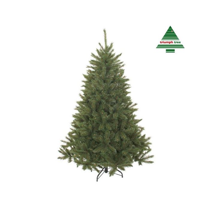 Triumph Tree Bristlecone Fir Sapin De Noel Vert H260xd163cm Felinaworld