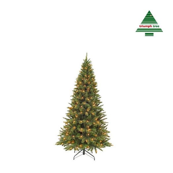 Tegenslag onvoorwaardelijk in de rij gaan staan Triumph Tree - Forest frosted x-mas tree led slim green 120L TIPS 424 -  h155xd86cm | Felinaworld