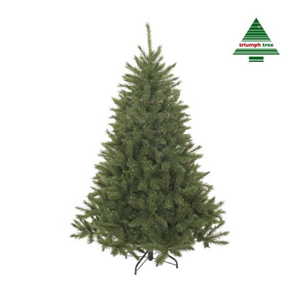 Triumph Tree - Bristlecone kerstboom groen TIPS 1583 - kopen? | Felinaworld