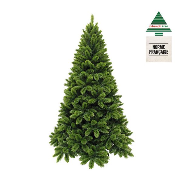boog Naar behoren Tomaat Triumph Tree - Tsuga kerstboom groen TIPS 1502 - h260xd160cm kopen? |  Felinaworld