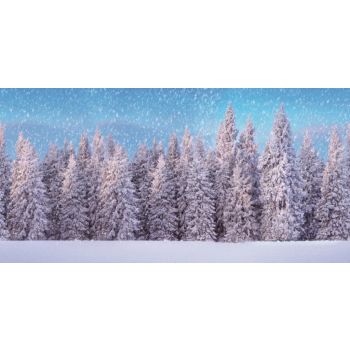 My Village Background Cloth Snowy Forest 300x150 cm
