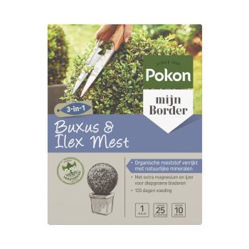 Pokon Buxus & Ilex Dünger 1kg