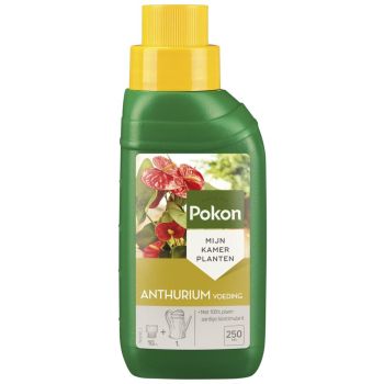 Pokon Anthurium Nahrung 250ml