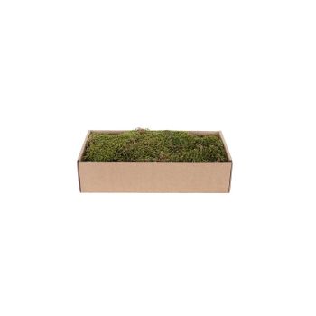 My Village Dried Moss Green/Brown 500g