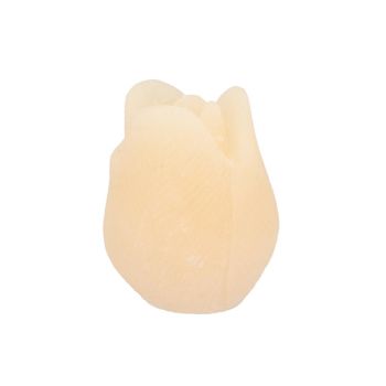 Daan Kromhout Design kaars tulp 10x13cm ivoor 