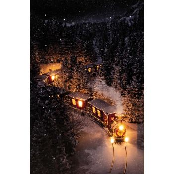 Luz de Navidad LED lienzo 38x58cm tren - 2xAA