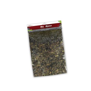 My Village Moss Green 120g