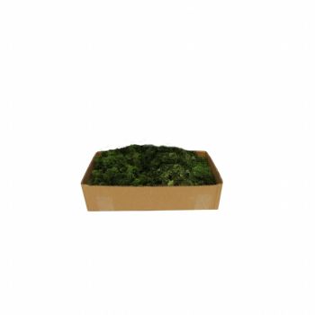 My Village Reindeer Moss Dark Green 500 grams