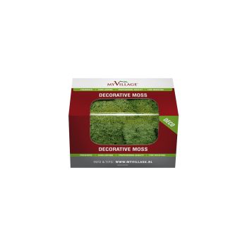 My Village Reindeer Moss Green 50g