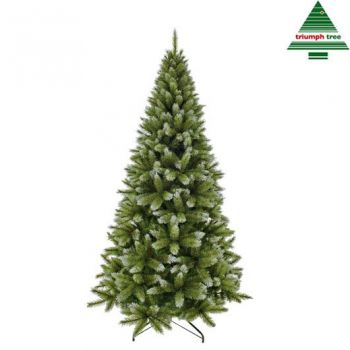 Triumph Tree Kerstboom 999+ producten